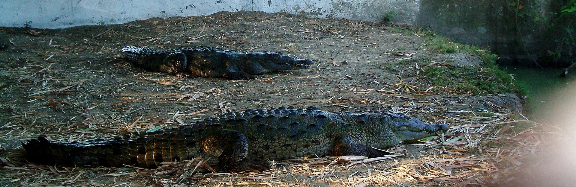 La nature, Las Tunas, Cuba Travel